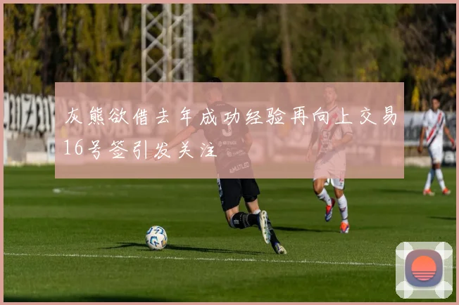 灰熊欲借去年成功经验再向上交易16号签引发关注