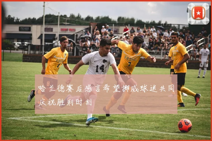 哈兰德赛后感言希望挪威球迷共同庆祝胜利时刻