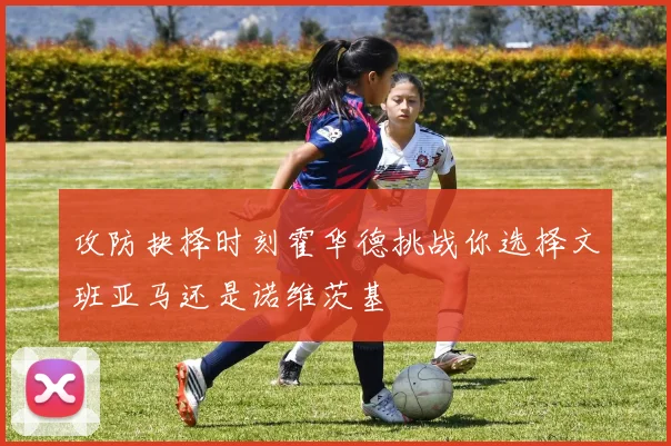 攻防抉择时刻霍华德挑战你选择文班亚马还是诺维茨基